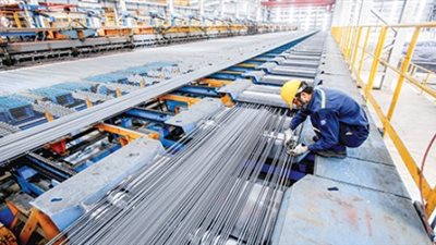 الفقى: لم نتوصل لاتفاق مع وزير قطاع الأعمال لتعويضات عمال الحديد والصلب