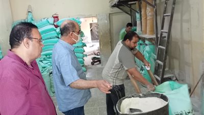 ضبط 397 شيكارة دقيق مدعم قبل التهريب للسوق السوداء بالدقهلية