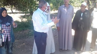 وكيل زراعة الفيوم يشهد يوم حصاد فول الصويا (صور)