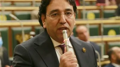 برلماني يطالب بحسن استغلال الاكتشافات الأثرية للترويج للقطاع بشكل أفضل