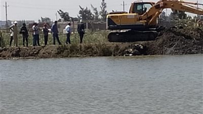 إزالة مزارع سمكية مخالفة بمساحة 118 فدانا في بورسعيد (صور)