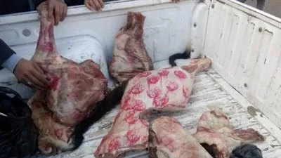 ضبط 7 أطنان لحوم غير صالحة في حملة بيطرية بالدقهلية 