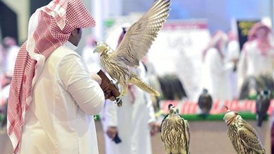 معرض الصقور والصيد السعودي الدولي 2021.. عوائد اقتصادية وآفاق ثقافية