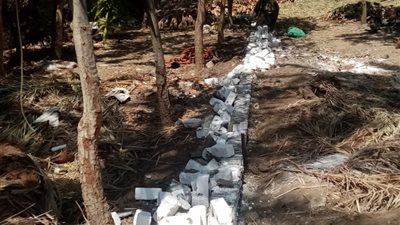 إزالة 12 حالة تعد على الأرض الزراعية بالفيوم 