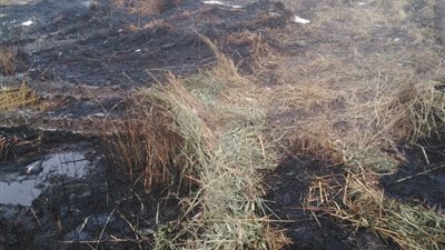 مخبز بلدي يتسبب في حريق بإحدى قرى بني سويف (صور)