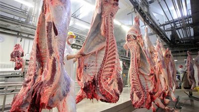 أسعار اللحوم اليوم الجمعة في الدقهلية