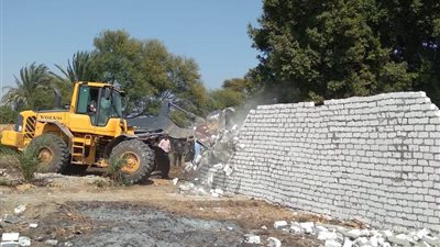 محافظ بني سويف: إزالة 328 حالة تعد على أملاك الدولة والأرضي الزراعية