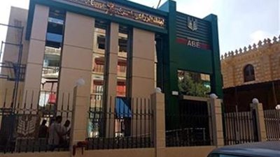 البنك الزراعي: ارتفاع إنتاجية فدان القصب إلى 60 طنًا (فيديو)