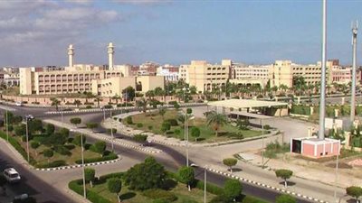 رسميًا.. اعتماد برنامج الذكاء الاصطناعي بكلية الحاسبات والمعلومات في دمياط