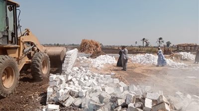 إزالة 102 حالة تعد بالبناء والزراعة على أملاك الدولة بالمنيا 