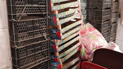 الصحة: ضبط وإعدام 1462 طن أغذية متنوعة ولحوم فاسدة بـ 6 محافظات 