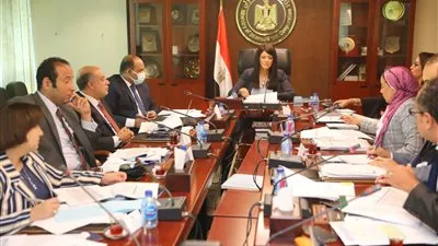 رانيا المشاط: عدد من مؤسسات التمويل الدولية ستبدأ وقف العمل بـ