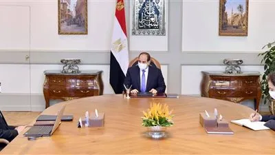 وزير العدل يستعرض أمام السيسي استعدادات الاحتفال بيوم القضاء المصري