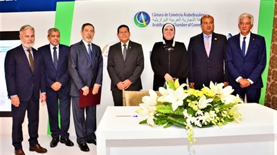  نيفين جامع : مشروع العاصمة الادارية على غرار 