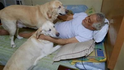 توفيق عبد الحميد يرد على الجدل المثار بشأن نشره صورا مع كلابه (فيديو)