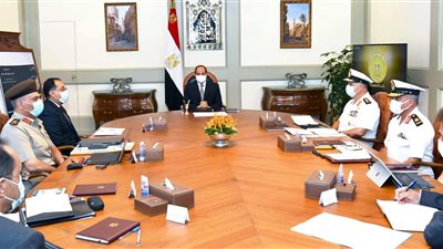 الرئيس السيسي يوجه بحماية الشواطئ الساحلية والتصدي لهذه الظاهرة 