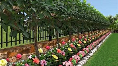 إطلاق برنامج 