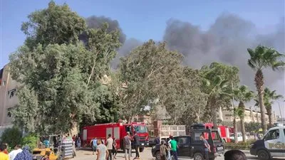 نائب رئيس مركز ومدينة دكرنس: تحرير محضر حرق قش الأرز في ديمشلت