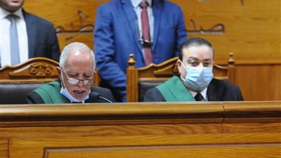 عـاجل| 2 نوفمبر.. الاطلاع على أوراق محاكمة 14 متهماً بـ 