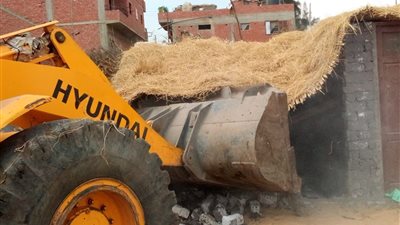 محافظ الدقهلية يكشف آخر مستجدات استعادة أراضي الدولة وإزالة التعديات (صور)