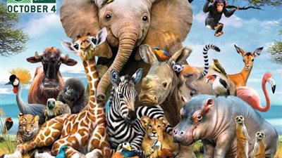 7 معلومات عن اليوم العالمي للحيوانات.. تعرف عليها 