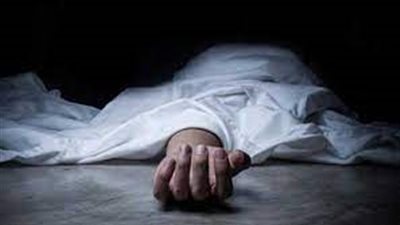 شاب يقتل زوج والدته بطعنات في المنصورة 