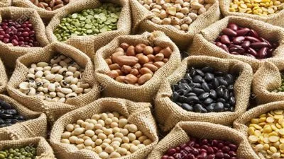 أسعار البقوليات اليوم الخميس في الدقهلية