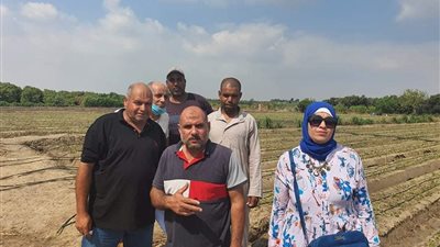 حملات ميدانية ونصائح مستمرة.. كيف تواجه الإسماعيلية مشاكل زارعة الفراولة؟