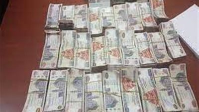 الجمارك تضبط محاولة لتهريب كمية من النقد المصري خارج البلاد 