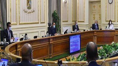 مصروفات وتسريح موظفين.. 5 شائعات نفتها الحكومة × 7 أيام 