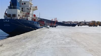 تصدير 3400 طن ملح إلى لبنان عبر ميناء العريش