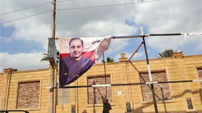 حملات مستمرة لإزالة الإعلانات العشوائية والغير مرخصة بالدقهلية 