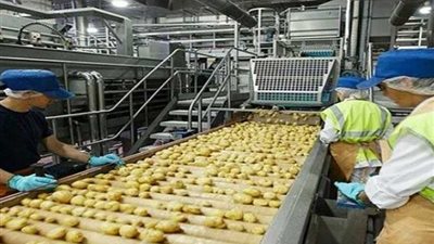 خبير صناعات غذائية: مصر نجحت في تصدير منتجات فائقة الجودة لـ 27 دولة