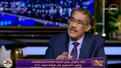 ضياء رشوان: تعرضنا لهجوم ساحق من منظمات حقوق الإنسان