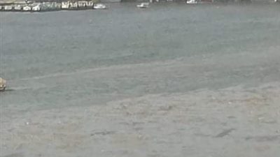 مصادر أمنية عن حادث كوبري الساحل: 