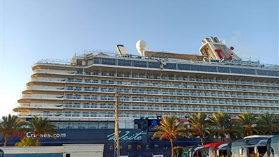 استقبال بالورود.. محافظة الإسكندرية تستقبل ٢٥٠٠ سائح ألماني