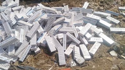 حبس صيدلي وأمين مخازن وسائق 15 يوما في قضية لقاحات المنيا 