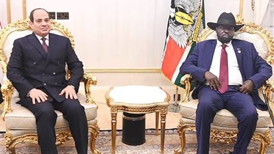 وزير الري الأسبق يكشف علاقة زيارة سلفاكير لمصر بأزمة السد الإثيوبي 