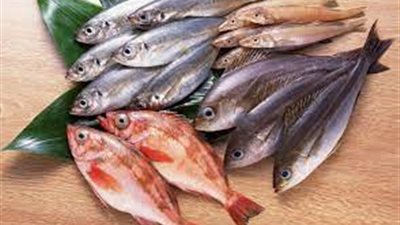 تخفيضات تصل لـ20%.. ننشر أسعار الأسماك الطازجة والمجمدة بالمنافذ