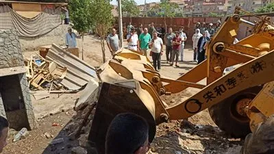 تنفيذ 49 حالة إزالة على أملاك الدولة بالموجة 18 بالدقهلية (صور)