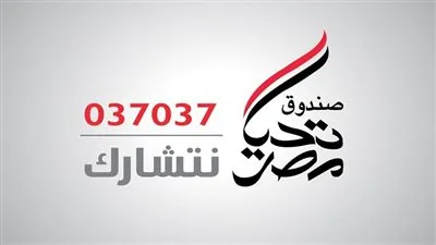 تحيا مصر: كل خدمات الصندوق تقدم بشكل مجاني للمستحقين (فيديو)