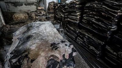 انتهاء أزمة 70 من أصحاب المدابغ بمجرى العيون (فيديو)