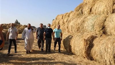 رئيس شئون البيئة يتفقد منظومة مكافحة تلوث الهواء بالشرقية والدقهلية 