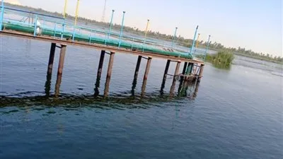 رفع 300 طن تراكمات وتوزيع 2000 كيلو لحوم صكوك أضاحي بأسوان