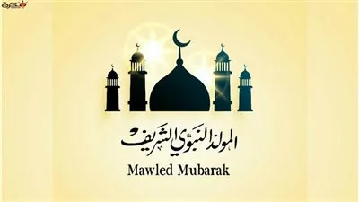 هدايا  الحكومة للمصريين في المولد النبوي.. تعرف عليها