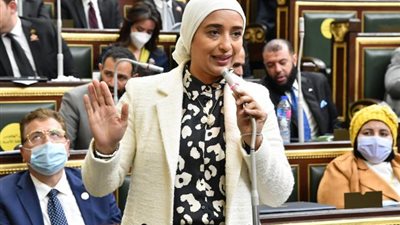 برلمانية: قانون مشاركة القطاع الخاص يهدف للتطوير والتحديث