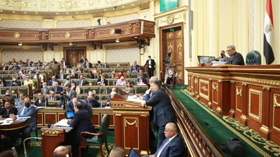 نائب: مشاركة القطاع الخاص بمشروعات البنية التحتية يزيد الاستثمار (فيديو)