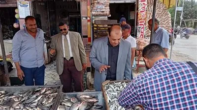 تفاصيل حملة مكبرة على المحال التجارية بالجمالية في الدقهلية 