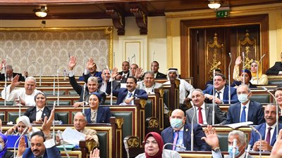 مجلس النواب يوافق على تغليظ عقوبة التنمر ضد الأشخاص ذوي الإعاقة