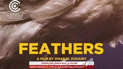 طارق الشناوي: فيلم 